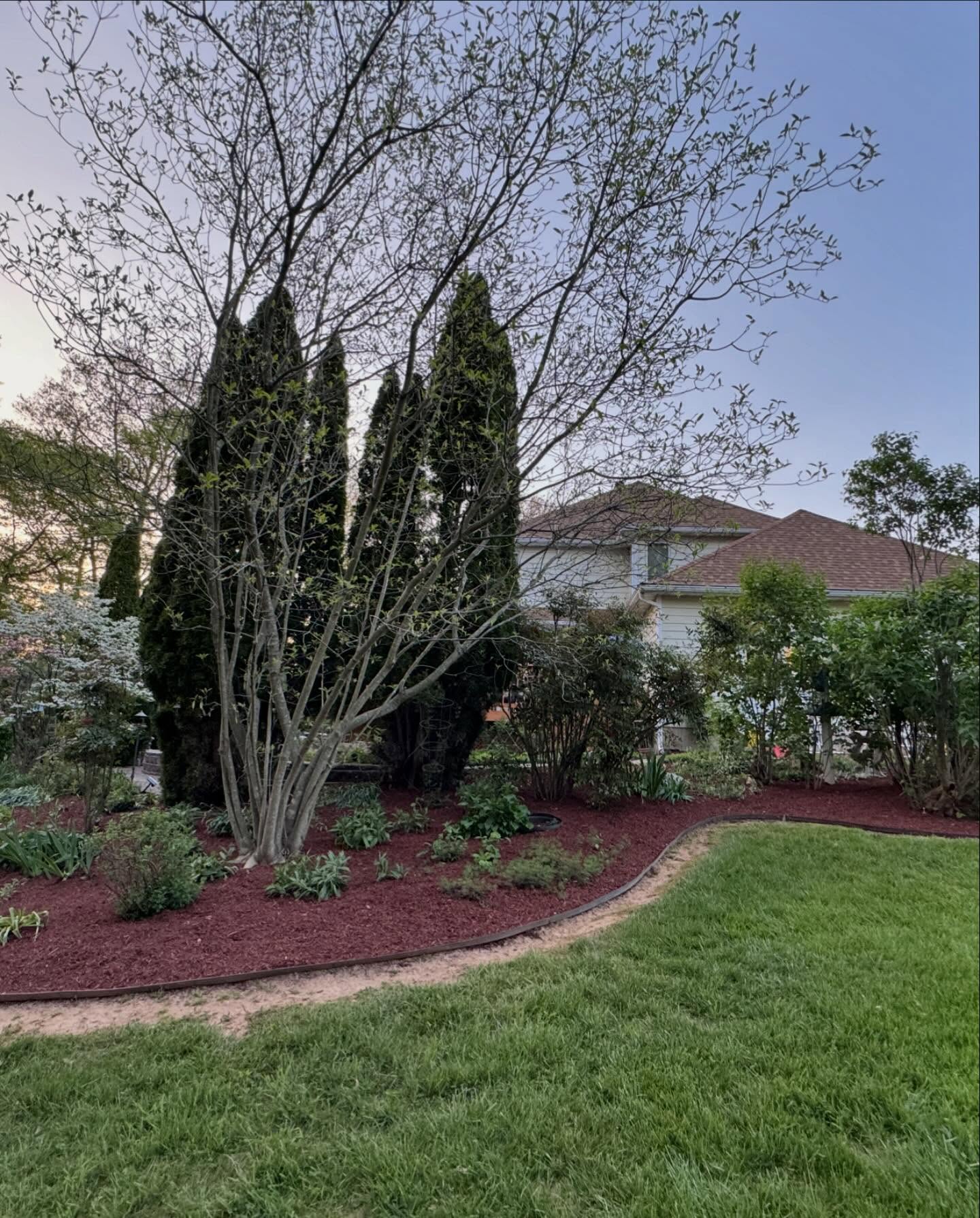 Curved metal lawn edging between green grass and a mulched garden bed