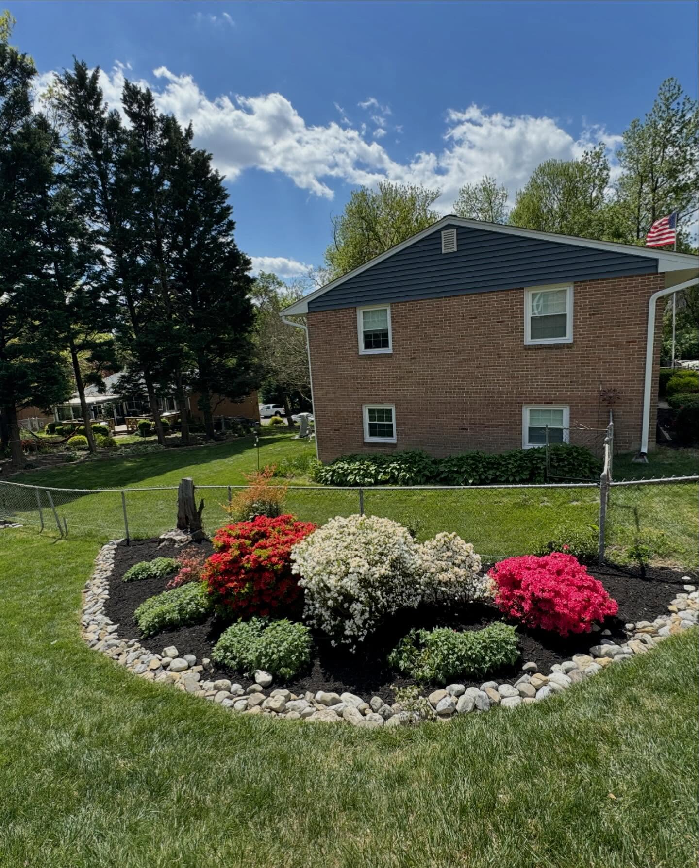 Azaleas in dark mulch with stone border and manicured lawn